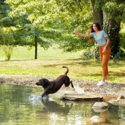 Nature's Recipe Grain-Free Salmon, Sweet Potato & Pumpkin Recipe Dry Dog Food 14 Nature's Recipe Grain-Free Salmon, Sweet Potato & Pumpkin Recipe Dry Dog Food -Blue Buffalo Shop 355834 PT5. AC SS1800 V1640648220