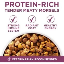 Purina ONE +Plus High Protein Healthy Puppy Formula Dry Puppy Food -Blue Buffalo Shop 355892 PT2. AC SS1800 V1640200950