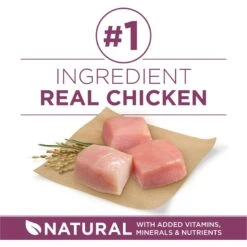 Purina ONE +Plus High Protein Healthy Puppy Formula Dry Puppy Food -Blue Buffalo Shop 355892 PT3. AC SS1800 V1640227661