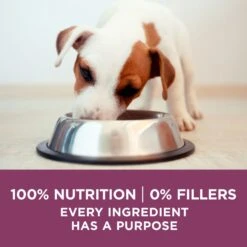 Purina ONE +Plus High Protein Healthy Puppy Formula Dry Puppy Food -Blue Buffalo Shop 355892 PT7. AC SS1800 V1640218304