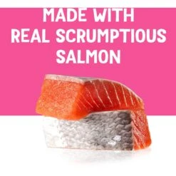 Friskies Pureed Topper Lil Shakes With Scrumptious Salmon Cat Food 15 Friskies Pureed Topper Lil Shakes With Scrumptious Salmon Cat Food -Blue Buffalo Shop 356286 PT4. AC SS1800 V1640288487