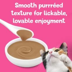 Friskies Pureed Topper Lil Shakes With Scrumptious Salmon Cat Food 18 Friskies Pureed Topper Lil Shakes With Scrumptious Salmon Cat Food -Blue Buffalo Shop 356286 PT7. AC SS1800 V1640317347