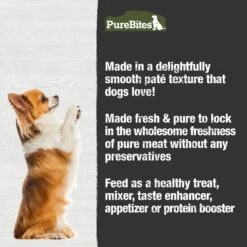 PureBites 100% Pure Chicken & Beef Paté Dog Food Toppings, 2.5-oz Can, 12 Count -Blue Buffalo Shop 356464 PT3. AC SS1800 V1677859843