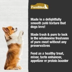 PureBites Dog Pates Chicken & Pumpkin Food Topping 12 PureBites Dog Pates Chicken & Pumpkin Food Topping -Blue Buffalo Shop 356468 PT3. AC SS1800 V1677859874
