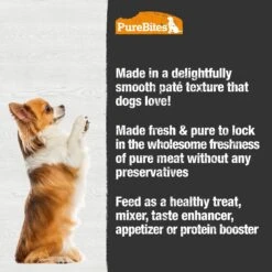 PureBites 100% Pure Duck Paté Dog Food Toppings, 2.5-oz Can, 12 Count -Blue Buffalo Shop 356476 PT3. AC SS1800 V1677859903