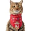 Frisco Cutest Reindeer Of All Dog & Cat Bandana 2 Frisco Cutest Reindeer Of All Dog & Cat Bandana -Blue Buffalo Shop 357931 MAIN. AC SS1800 V1660756046