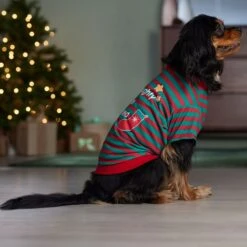 Frisco Naughty, Nice, I Tried Dog & Cat T-Shirt 14 Frisco Naughty, Nice, I Tried Dog & Cat T-Shirt -Blue Buffalo Shop 358301 PT7. AC SS1800 V1661797473