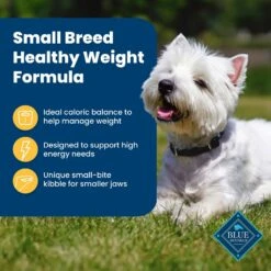 Blue Buffalo Life Protection Formula Small Breed Healthy Weight Adult Chicken & Brown Rice Recipe Dry Dog Food -Blue Buffalo Shop 361629 PT3. AC SS1800 V1704319835