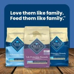 Blue Buffalo Life Protection Formula Large Breed Adult Lamb & Brown Rice Recipe Dry Dog Food -Blue Buffalo Shop 361966 PT8. AC SS1800 V1702597532