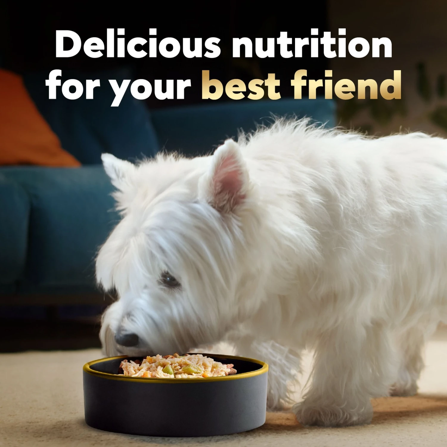 Cesar Wholesome Bowls Variety Pack Beef, Chicken, Carrots, Barley & Green Beans Recipe & Chicken, Apple & Sweet Potato Recipe Small Breed Adult Soft Wet Dog Food 10 Cesar Wholesome Bowls Variety Pack Beef, Chicken, Carrots, Barley & Green Beans Recipe & Chicken, Apple & Sweet Potato Recipe Small Breed Adult Soft Wet Dog Food - Image 8