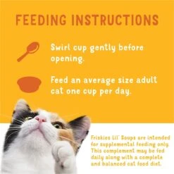 Friskies Lil' Soups Salmon, Tuna, & Shrimp Variety Pack Grain-Free Bits In Broth Wet Lickable Cat Food Topper 19 Friskies Lil' Soups Salmon, Tuna, & Shrimp Variety Pack Grain-Free Bits In Broth Wet Lickable Cat Food Topper -Blue Buffalo Shop 363333 PT8. AC SS1800 V1643210488
