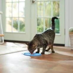 Frisco Non-skid Flower Silicone Dog & Cat Lick Mat, Blue -Blue Buffalo Shop 363393 PT3. AC SS1800 V1660750521