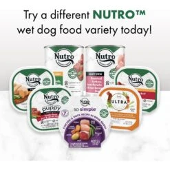 Nutro So Simple Meal Complement Chicken Recipe In Bone Broth Grain-Free Adult Wet Dog Food Topper -Blue Buffalo Shop 363764 PT8. AC SS1800 V1702665996