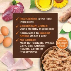 Wellness CORE Tiny Tasters Kitten Chicken Grain-Free Pate Wet Cat Food, 1.75-oz Pouch, Case Of 12 -Blue Buffalo Shop 363903 PT3. AC SS1800 V1695841330