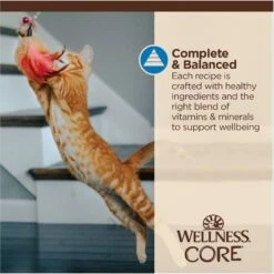Wellness CORE Tiny Tasters Tuna & Shrimp Grain-Free Flaked Wet Cat Food, 1.75-oz Pouch, Case Of 12 17 Wellness CORE Tiny Tasters Tuna & Shrimp Grain-Free Flaked Wet Cat Food, 1.75-oz Pouch, Case Of 12 -Blue Buffalo Shop 363911 PT6. AC SS1800 V1695845856