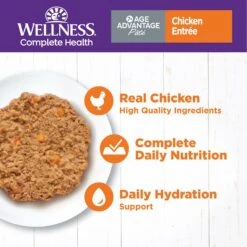 Wellness Complete Health Age Advantage Chicken Pate Wet Cat Food 13 Wellness Complete Health Age Advantage Chicken Pate Wet Cat Food -Blue Buffalo Shop 363921 PT2. AC SS1800 V1643222493