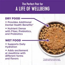 Wellness Complete Health Age Advantage Chicken Pate Wet Cat Food 16 Wellness Complete Health Age Advantage Chicken Pate Wet Cat Food -Blue Buffalo Shop 363921 PT5. AC SS1800 V1643252522