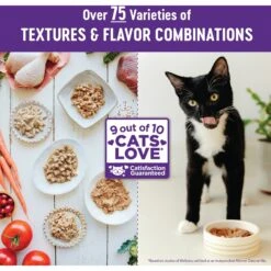 Wellness Complete Health Age Advantage Chicken Pate Wet Cat Food 17 Wellness Complete Health Age Advantage Chicken Pate Wet Cat Food -Blue Buffalo Shop 363921 PT6. AC SS1800 V1643252250