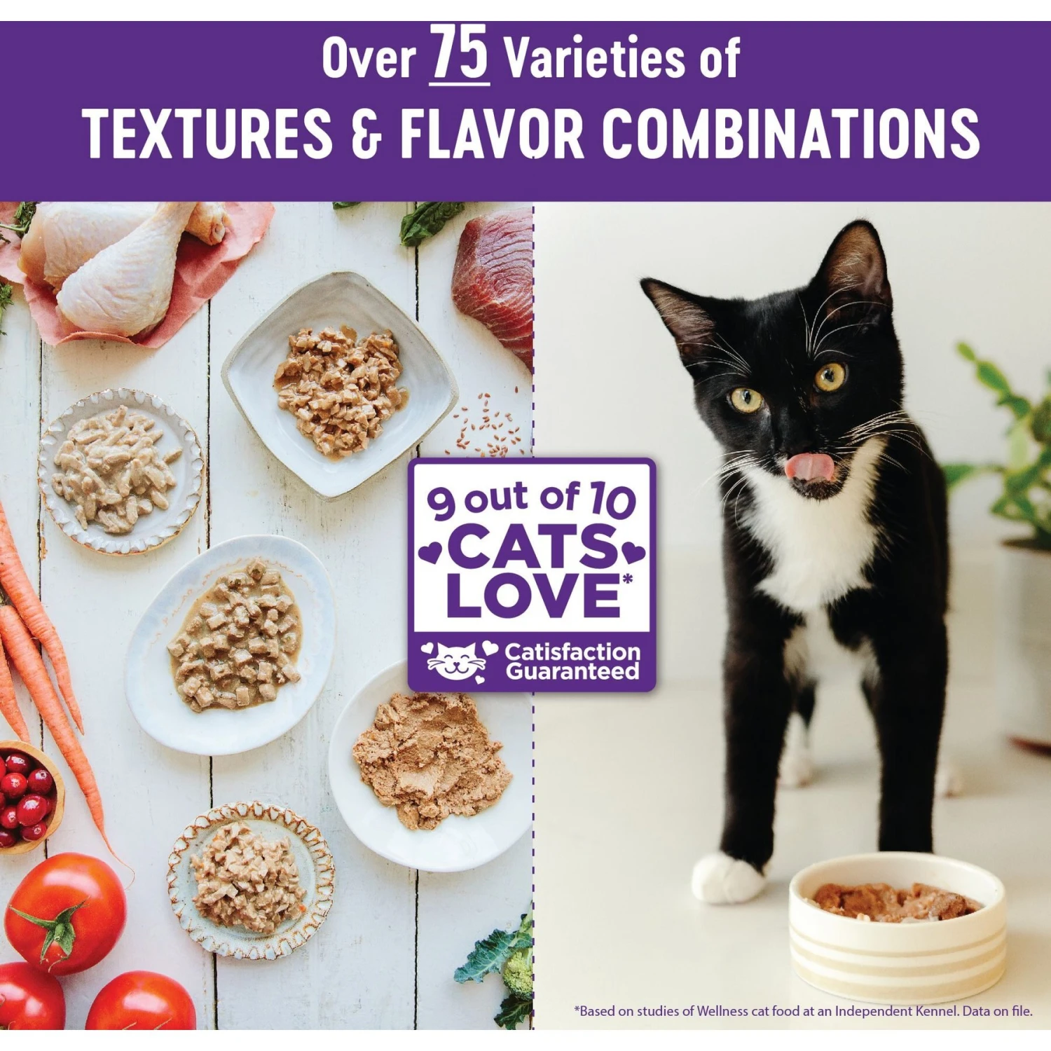 Wellness Complete Health Age Advantage Chicken Pate Wet Cat Food 9 Wellness Complete Health Age Advantage Chicken Pate Wet Cat Food - Image 7