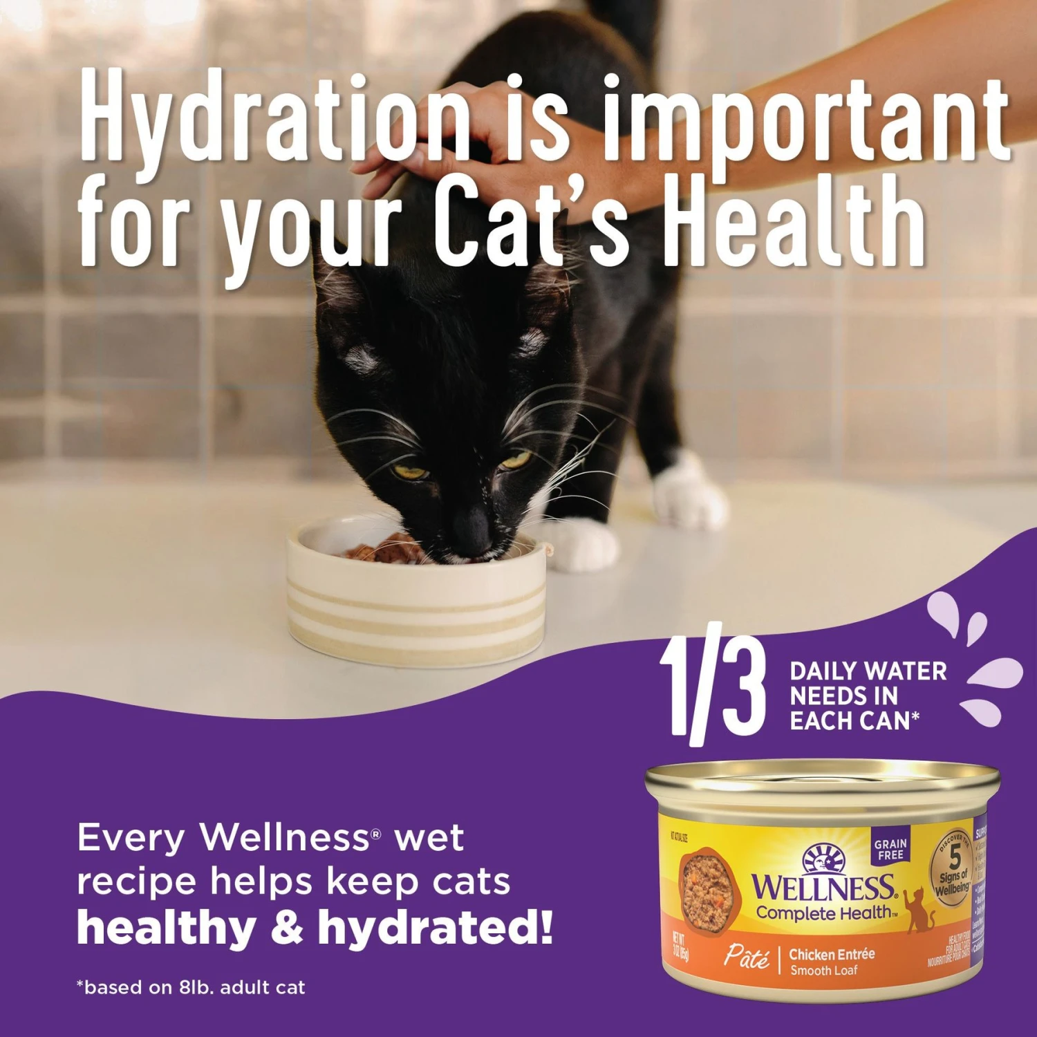 Wellness Complete Health Age Advantage Tuna & Salmon Pate Wet Cat Food 6 Wellness Complete Health Age Advantage Tuna & Salmon Pate Wet Cat Food - Image 4