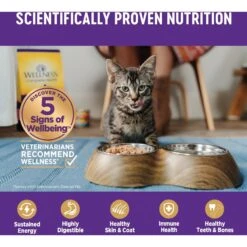 Wellness Complete Health Age Advantage Tuna & Salmon Pate Wet Cat Food 14 Wellness Complete Health Age Advantage Tuna & Salmon Pate Wet Cat Food -Blue Buffalo Shop 363923 PT4. AC SS1800 V1643225487