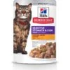 Hill's Science Diet Adult Sensitive Stomach & Sensitive Skin Chicken & Beef Canned Cat Food, 2.8-oz Pouch, Case Of 24 1 Hill's Science Diet Adult Sensitive Stomach & Sensitive Skin Chicken & Beef Canned Cat Food, 2.8-oz Pouch, Case Of 24 -Blue Buffalo Shop 364089 MAIN. AC SS1800 V1643906824