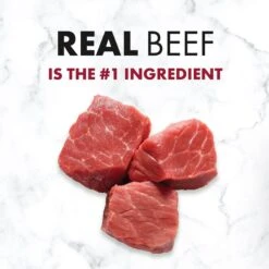 Nutro SO SIMPLE Adult Beef & Rice Recipe Natural Dry Dog Food -Blue Buffalo Shop 366852 PT2. AC SS1800 V1702666794