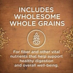 Rachael Ray Nutrish Natural Hearty Beef Stew Natural Grain-Free Wet Dog Food & Rachael Ray Nutrish Natural Beef Stroganwoof Natural Wet Dog Food -Blue Buffalo Shop 367532 PT8. AC SS1800 V1644451616