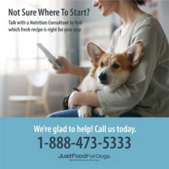 JustFoodForDogs Chicken & White Rice Recipe Frozen Human-Grade Fresh Dog Food -Blue Buffalo Shop 368085 PT3. AC SS1800 V1701882858