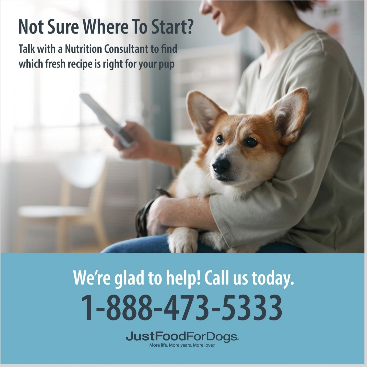 JustFoodForDogs Lamb & Brown Rice Recipe Frozen Human-Grade Fresh Dog Food 8 JustFoodForDogs Lamb & Brown Rice Recipe Frozen Human-Grade Fresh Dog Food - Image 6