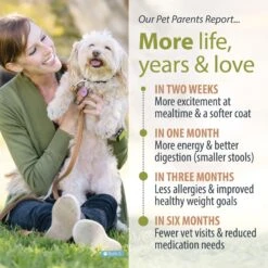 JustFoodForDogs Veterinary Diet Renal Support Low Protein Frozen Human-Grade Fresh Dog Food -Blue Buffalo Shop 368109 PT5. AC SS1800 V1675350530