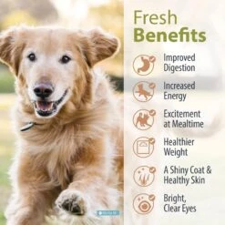 JustFoodForDogs Veterinary Diet Critical Care Support Frozen Human-Grade Fresh Dog Food -Blue Buffalo Shop 368122 PT4. AC SS1800 V1675350608