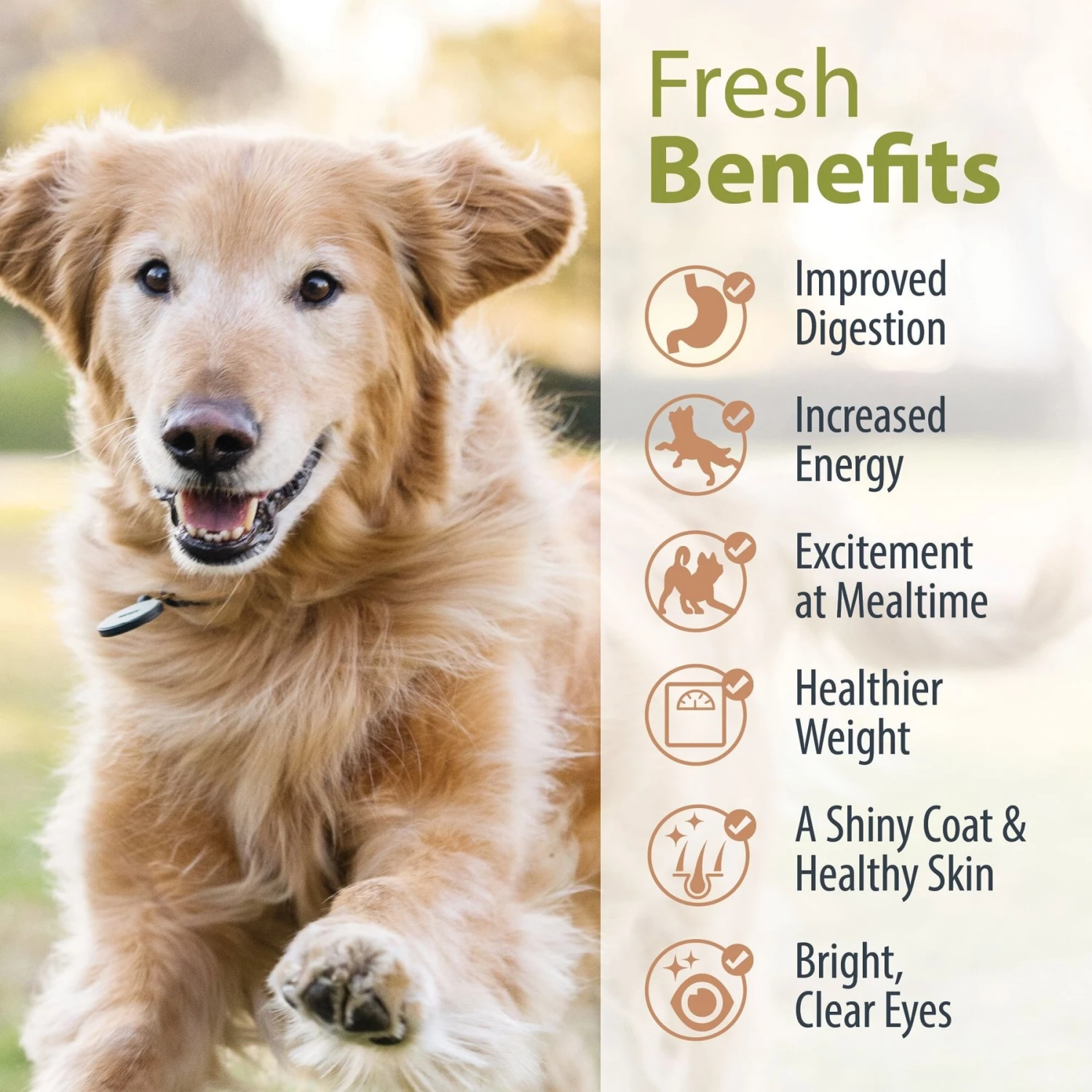 JustFoodForDogs DoItYourself Venison & Squash Recipe Fresh Dog Food Recipe & Nutrient Blend 8 JustFoodForDogs DoItYourself Venison & Squash Recipe Fresh Dog Food Recipe & Nutrient Blend - Image 6