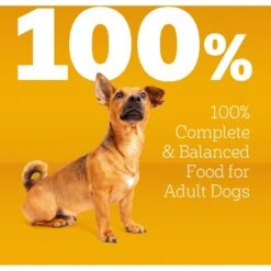 Pedigree Small Dog Complete Nutrition Grilled Steak & Vegetable Flavor Dog Kibble Small Breed Adult Dry Dog Food 19 Pedigree Small Dog Complete Nutrition Grilled Steak & Vegetable Flavor Dog Kibble Small Breed Adult Dry Dog Food -Blue Buffalo Shop 368362 PT8. AC SS1800 V1644528233