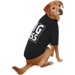 Frisco Big Boss Dog & Cat T-Shirt -Blue Buffalo Shop 368782 PT4. AC SS1800 V1669100910