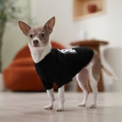 Frisco Big Boss Dog & Cat T-Shirt -Blue Buffalo Shop 368782 PT7. AC SS1800 V1664992675