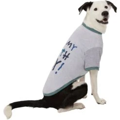 Frisco It's My Birth Day Dog & Cat T-Shirt -Blue Buffalo Shop 368808 PT4. AC SS1800 V1669101517