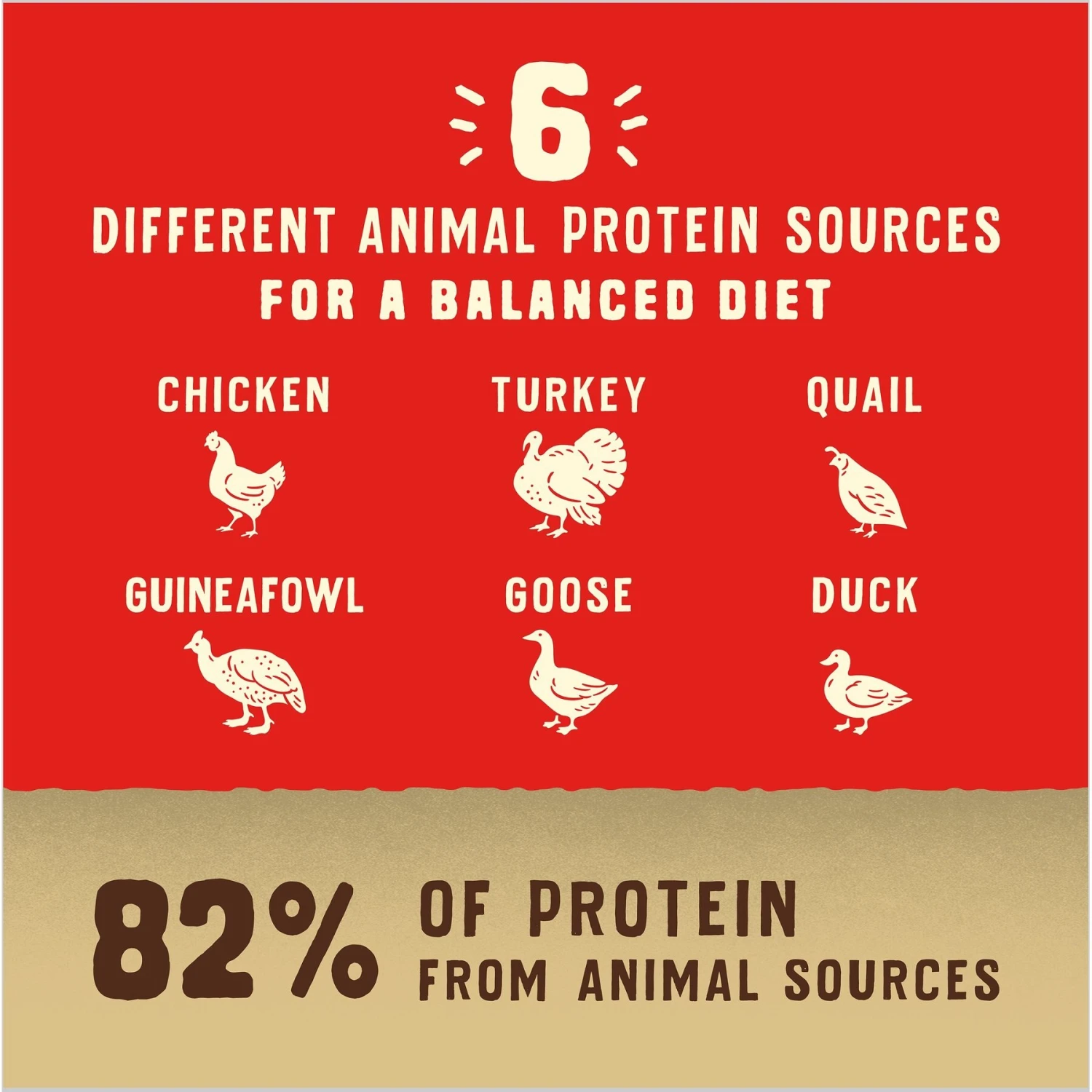 Stella & Chewy's Puppy Prairie Recipe Wild Red Raw Coated High Protein Wholesome Grains Dry Dog Food 8 Stella & Chewy's Puppy Prairie Recipe Wild Red Raw Coated High Protein Wholesome Grains Dry Dog Food - Image 6