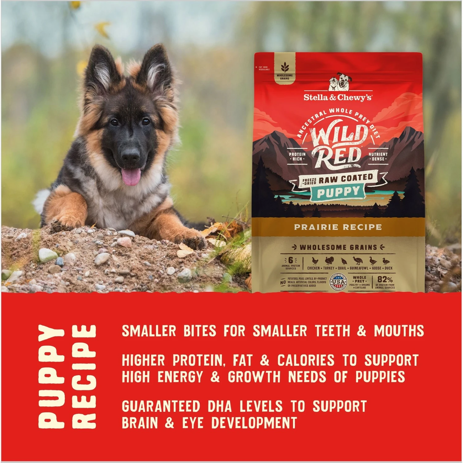 Stella & Chewy's Puppy Prairie Recipe Wild Red Raw Coated High Protein Wholesome Grains Dry Dog Food 9 Stella & Chewy's Puppy Prairie Recipe Wild Red Raw Coated High Protein Wholesome Grains Dry Dog Food - Image 7