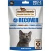 Whole Life Natures Remedy Recover Interim Stomach Distress Cat Food, 8-oz Bag