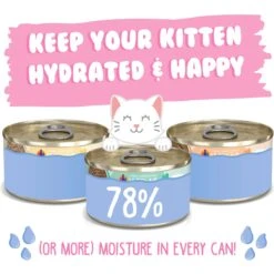 Weruva Kitten Can Jam! Chicken, Tuna & Salmon Flavored Pate Canned Cat Food Variety Pack -Blue Buffalo Shop 373280 PT3. AC SS1800 V1657657676