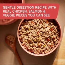 Rachael Ray Nutrish Gentle Digestion Real Chicken, Pumpkin & Salmon Canned Dog Food, 13-oz, Case Of 12 -Blue Buffalo Shop 373433 PT2. AC SS1800 V1648272993