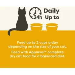 Applaws Chicken With Carrots & Green Beans In Broth Wet Cat Food, 2.12-oz, Case Of 18 -Blue Buffalo Shop 373455 PT4. AC SS1800 V1649466219