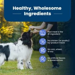 Blue Buffalo Life Protection Formula Large Breed Healthy Weight Adult Chicken & Brown Rice Recipe Dry Dog Food 16 Blue Buffalo Life Protection Formula Large Breed Healthy Weight Adult Chicken & Brown Rice Recipe Dry Dog Food -Blue Buffalo Shop 46892 PT5. AC SS1800 V1701982218