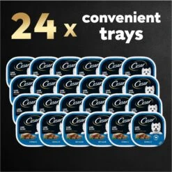 Cesar Classic Loaf In Sauce Lamb Recipe Grain-Free Small Breed Adult Wet Dog Food Trays 19 Cesar Classic Loaf In Sauce Lamb Recipe Grain-Free Small Breed Adult Wet Dog Food Trays -Blue Buffalo Shop 47089 PT8. AC SS1800 V1695746027