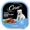 Cesar Puppy Classic Loaf In Sauce Chicken & Beef Recipe Grain-Free Small Breed Wet Dog Food Trays -Blue Buffalo Shop 47090 MAIN. AC SS1800 V1695650016