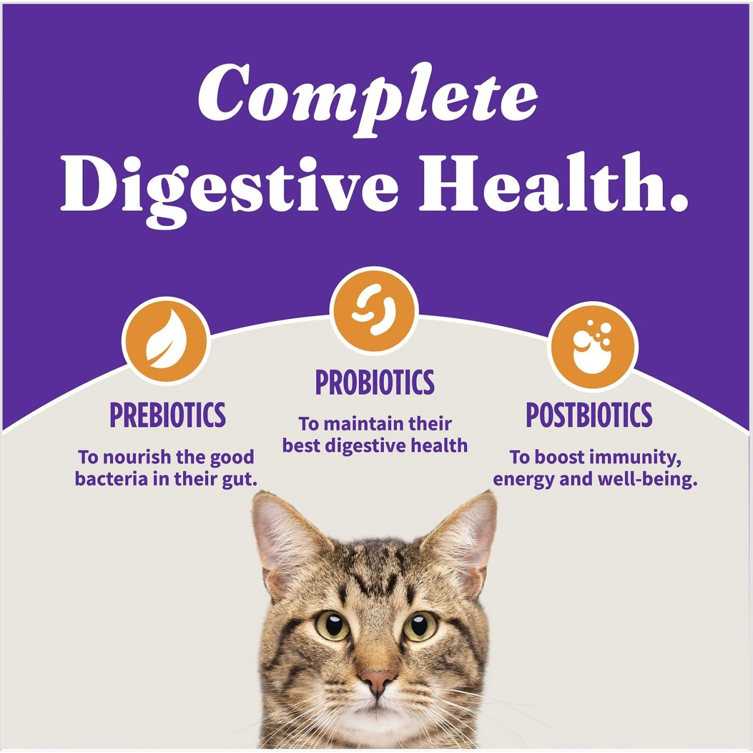 Halo Holistic Cage-free Chicken Recipe Complete Digestive Health Adult Dry Cat Food 9 Halo Holistic Cage-free Chicken Recipe Complete Digestive Health Adult Dry Cat Food - Image 7