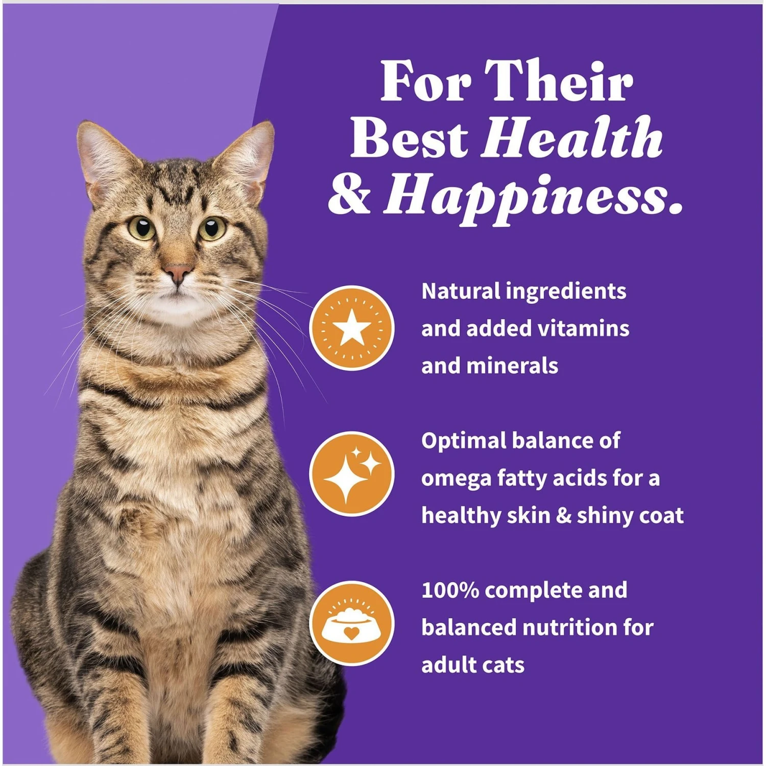 Halo Holistic Cage-free Chicken Recipe Complete Digestive Health Adult Dry Cat Food 10 Halo Holistic Cage-free Chicken Recipe Complete Digestive Health Adult Dry Cat Food - Image 8