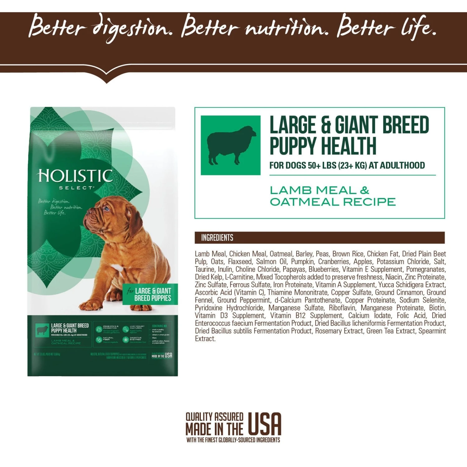 Holistic Select Large & Giant Breed Puppy Health Lamb Meal & Oatmeal Recipe Dry Dog Food 5 Holistic Select Large & Giant Breed Puppy Health Lamb Meal & Oatmeal Recipe Dry Dog Food - Image 3
