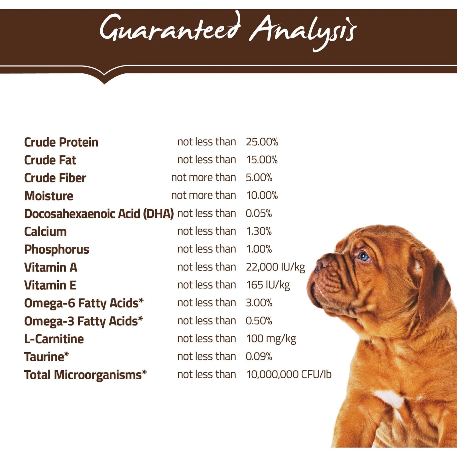 Holistic Select Large & Giant Breed Puppy Health Lamb Meal & Oatmeal Recipe Dry Dog Food 6 Holistic Select Large & Giant Breed Puppy Health Lamb Meal & Oatmeal Recipe Dry Dog Food - Image 4